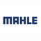  MAHLE -  2021